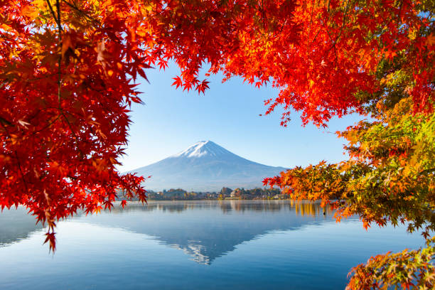�일본 가와구치코 호수에서 가을 아침 안개낀 날에 붉은 단풍잎을 곁들인 후지산 반사 - volcano lake blue sky autumn 뉴스 사진 이미지
