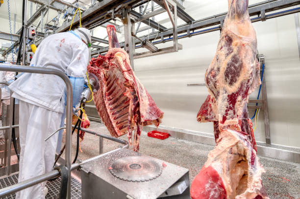 istock Sawing and boning of beef carcasses 1318078435