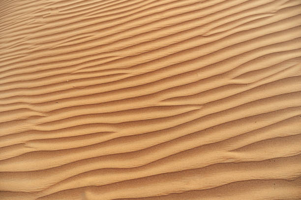 istock Wavy sand texture in Dubai desert close up 1318085320
