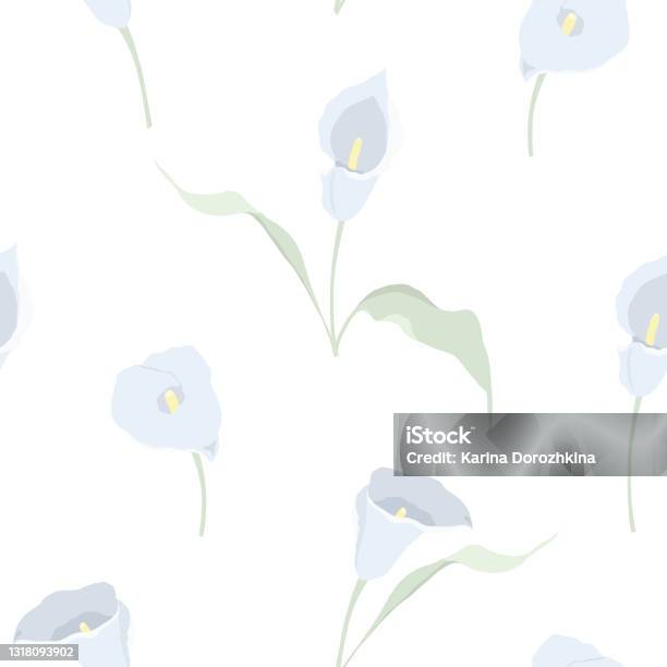 Blue Calla Patterns Vector Seamless Pattern With Light Blue Calla Lilies Stock Illustration ...
