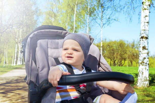 istock Happy baby boy in stroller in park. 1318096806