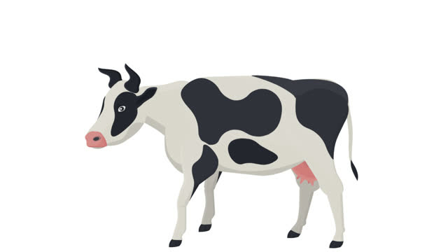 Cow Animation Stock Videos and Royalty-Free Footage - iStock
