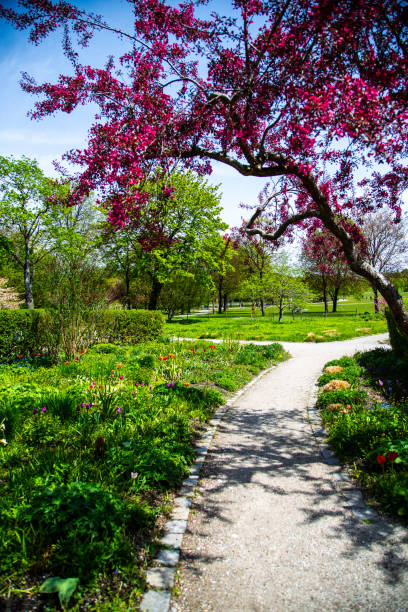 istock Westpark in spring in Munich, blue sky 1318098403
