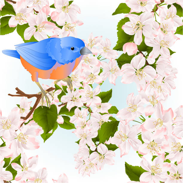 illustrazioni stock, clip art, cartoni animati e icone di tendenza di sfondo textura senza cuciture bluebird mughetto piccolo uccello su un ramo di melo con fiori sfondo primaverile illustrazione vettoriale vintage modificabile - spring birdsong bird seamless