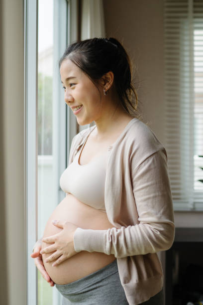 cheerful pregnant woman stroking and embracing the belly. - japanese ethnicity women asian and indian ethnicities smiling imagens e fotografias de stock