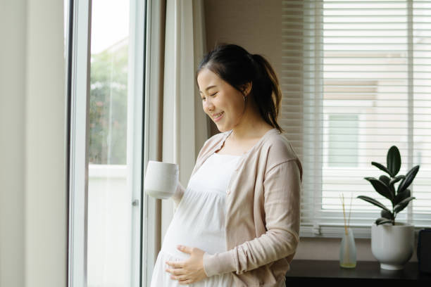 Close up of pregnant asian woman with tea cup at window pregnancy, drinks, rest, people and expectation concept - close up of happy pregnant woman with cup drinking tea looking through window at home korean baby stock pictures, royalty-free photos & images