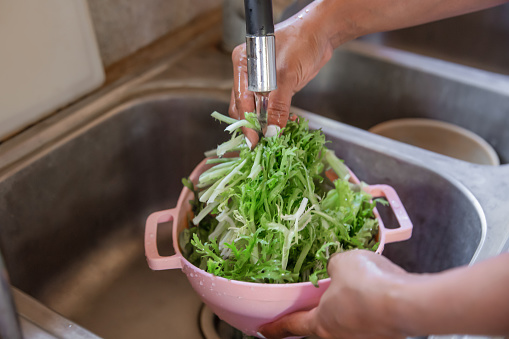 Close-up shot of unrecognizable female hands rinsing green leaf vegetables with running water in the sink.
