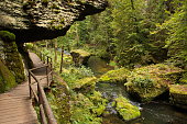 Gorge of the river Kamenice in the Bohemian Switzerland in Czech republic,Europe