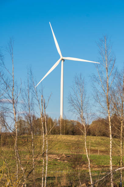 istock Wind turbine near a forest with clear blue sky 1318115753
