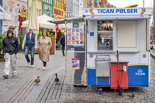 Mallard ducks begging for food at a fast food stall in Nyhavn, which is a popular spot in the center of Copenhagen