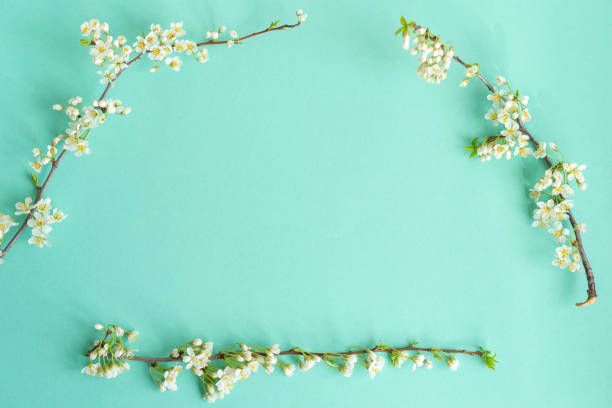 istock Romantic floral frame background. Valentines day, Mother’s Day or other celebration background 1318122261