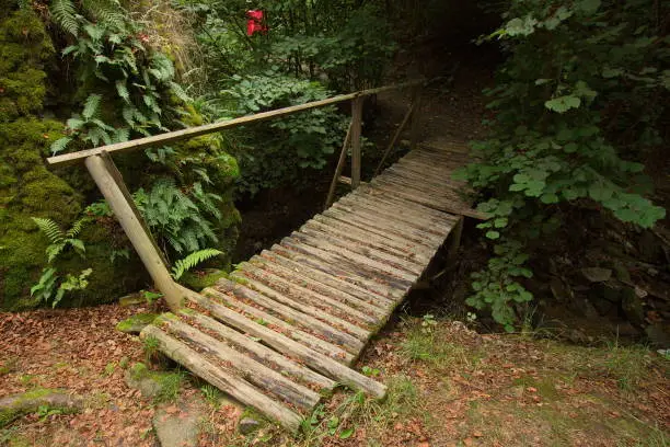 Old wooden bridge on the hiking track in the valley of river Mže in Stříbro,Plzeň Region,Czech Republic,Europe