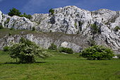 Rocks in Pálava Protected Landscape Area,Moravia,Czech Republic