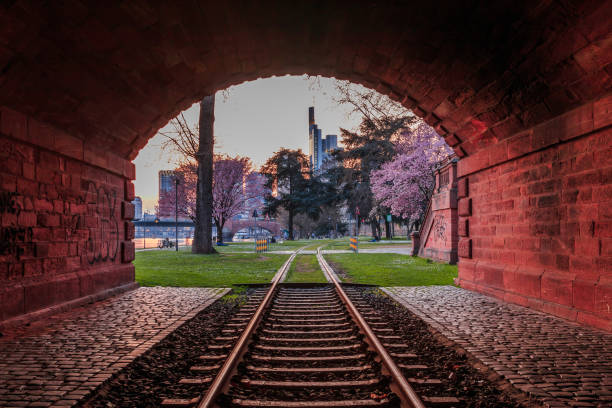 tunnel mit blick auf die skyline von frankfurt - frankfurt german culture night city stock-fotos und bilder