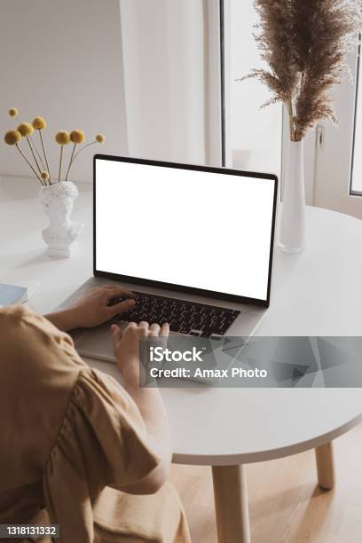 Back View And Close Up Of Woman Hands Using Laptop With Blank White Screen In Modern Home Interior Stock Photo - Download Image Now