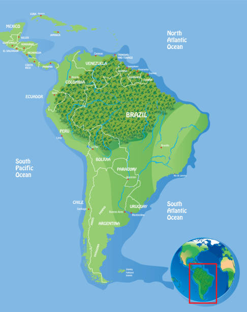Amazon Rainforest Vector Amazon Rainforest http://legacy.lib.utexas.edu/maps/world_maps/world_physical_2015.pdf amazonas state brazil stock illustrations