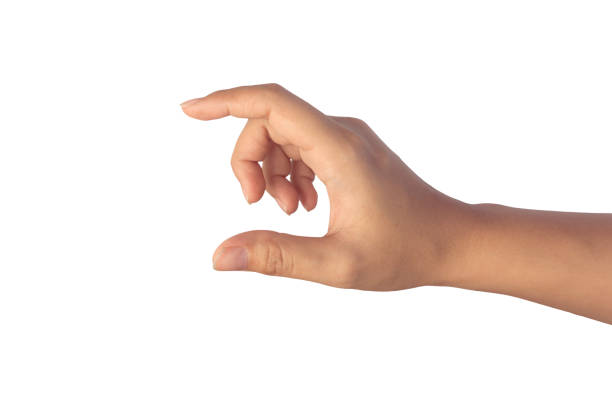 istock Woman hand holding something on white isolated background with clipping path. 1318134739