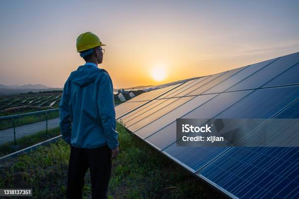 Engineer Standing In Solar Power Station Looking Sunrise Stock Photo - Download Image Now