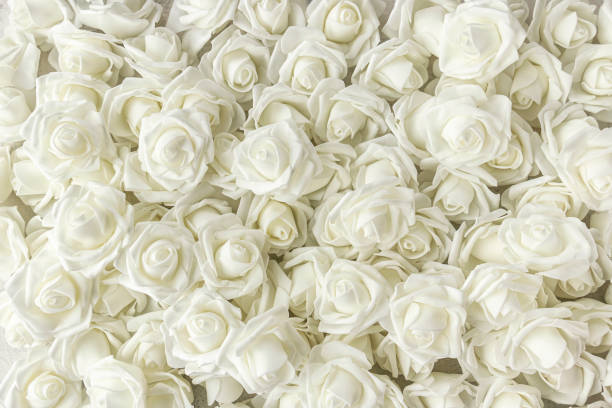background of many fake white roses. Top view stock photo