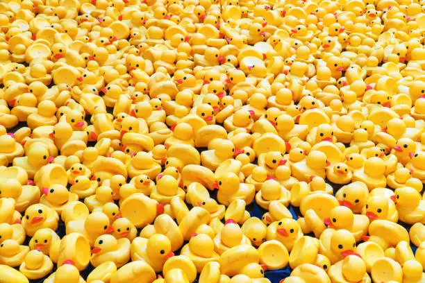 A tide of yellow rubber ducks in a swimming pool. Perfect shot for childhood, lifestyles and water features.