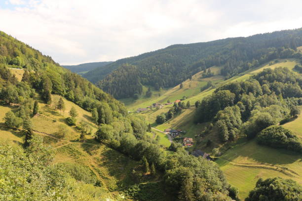 Sunny summer day in the Black Forest