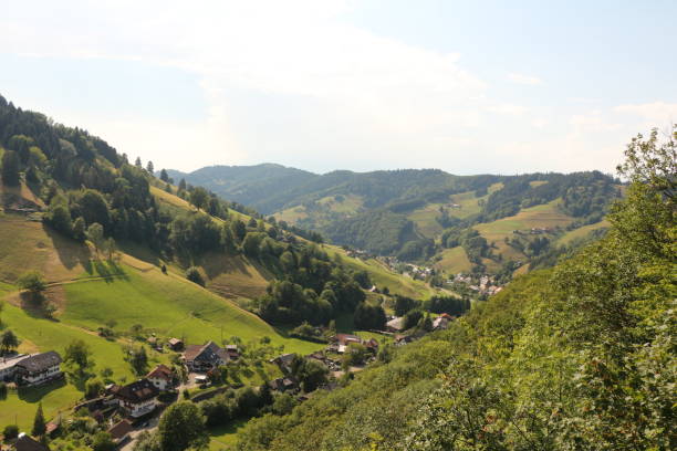 Sunny summer day in the Black Forest