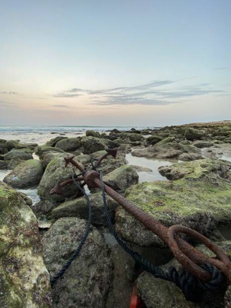 istock Ras al Had beach in Oman 1318143976