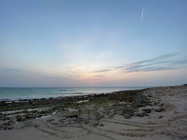 istock Ras al Had beach in Oman 1318143991