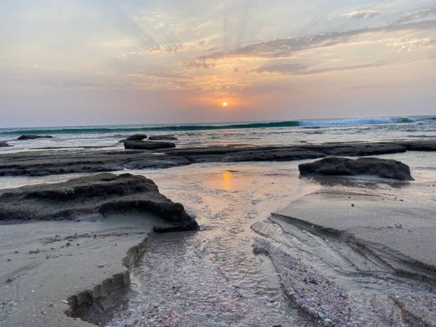 istock Ras al Had beach in Oman 1318144013