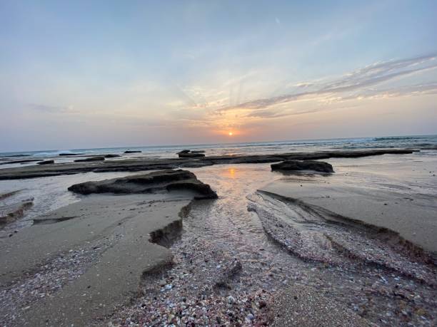 istock Ras al Had beach in Oman 1318144041