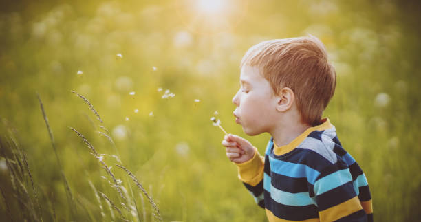 istock Happy boy blowing on the white dandelion's blowball 1318147610