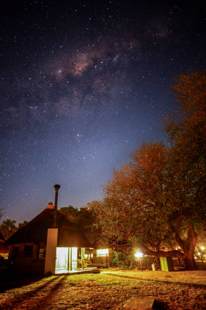 milky way above skukuza - kruger national park national park southern africa africa imagens e fotografias de stock