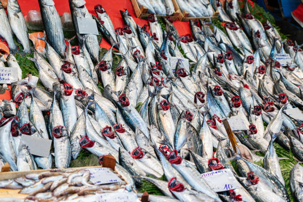 istock Fresh seafood for sale 1318147887