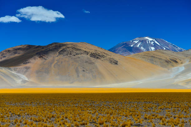 vulcano incahuasi gigante e d'alta quota - argentina landscape scenics south america foto e immagini stock