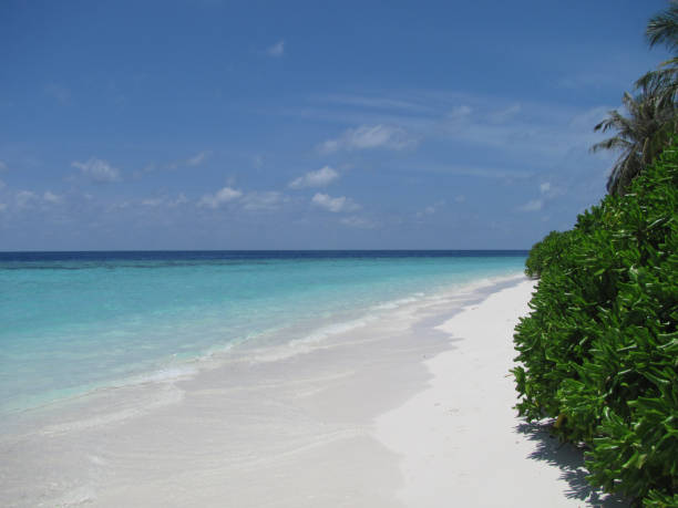 istock Maldives island resort beach 1318149011