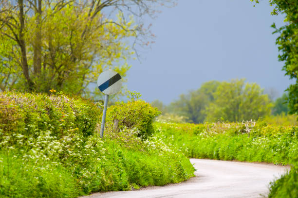 Scene down an English country lane with all the new spring vegitaion wld flowers and a road sign