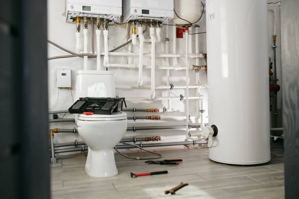 istock A toilet in large modern house 1318150182