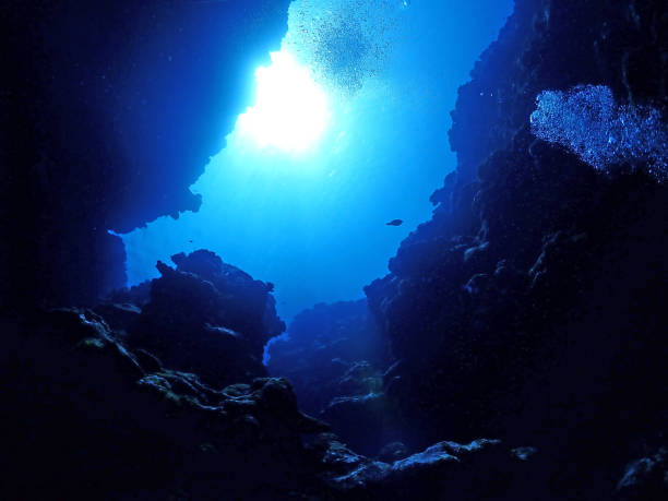 night sea night sea,Okinawa crevice photos stock pictures, royalty-free photos & images