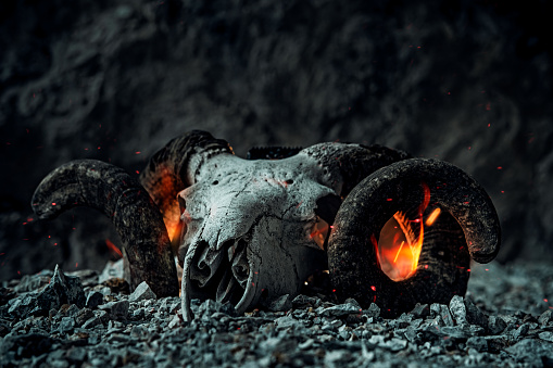 Goat skull on stone background