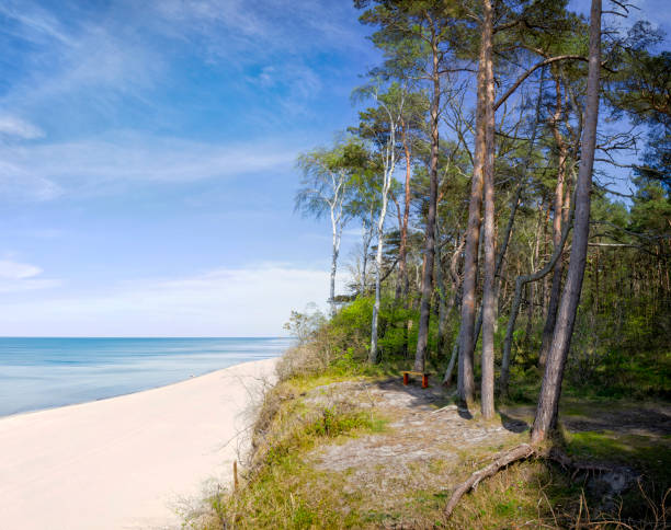 istock Vacations in Poland - Baltic seashore in Pobierowo 1318156155