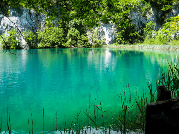 istock nice waterfall in the woods secret place 1318157655