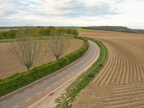 istock View over a field for asparagus cultivation photographed from a watchtower in Eijsden, this tower you will encounter while driving the Mergellandroute 1318161205