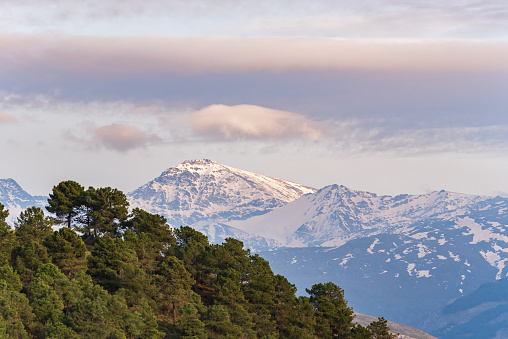 Mulhacén peak in Sierra Nevada with clouds at sunset seen from a nearby forest.