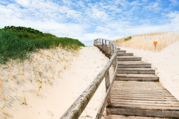 chodnik na wydmie na sylt. niemcy. - beach boardwalk grass marram grass zdjęcia i obrazy z banku zdjęć