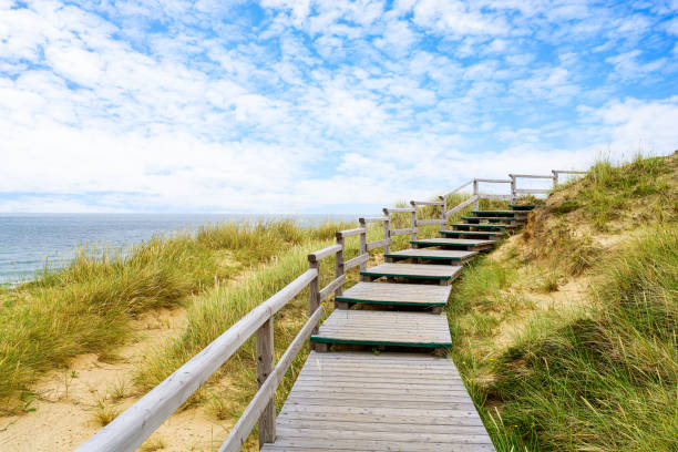 fußweg auf düne auf sylt. deutschland. - beach boardwalk grass marram grass stock-fotos und bilder