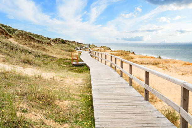 fußweg auf düne auf sylt. deutschland. - beach boardwalk grass marram grass stock-fotos und bilder