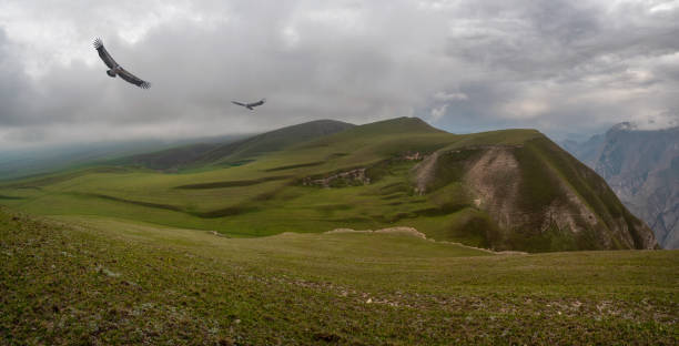istock Beautiful panoramic landscape on the rainy high plateau. 1318169824