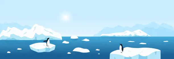 Vector illustration of Beautiful Arctic or Antarctic wide landscape panorama, north scenery with large ocean icebergs and penguins.