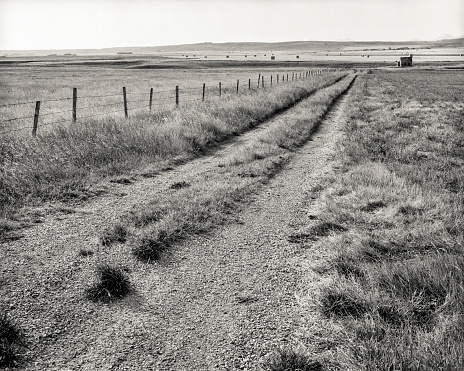 A black & white photo of an old abandoned 1940s era IH pickup sitting in a field with snow.