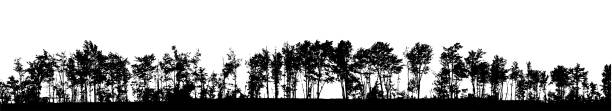 Very Long Treeline Wind breaking treeline along the side of the road near Montreal Canada Deciduous Tree stock illustrations